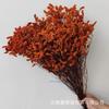Flor de pasto seco de cristal colorido flor real secada al aire natural teñida base Yunnan cabello lacio decoración para el hogar material de flor de pasto de cristal