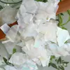 Fragmentos de Concha Branca Madre pérola, Lantejoulas de Concha Iridescentes, Joias DIY, Arte de Unhas, Decoração de Celular, Materiais de Incrustação