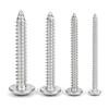 Grado 4.8 Ta Tornillos Autorroscantes de Cabeza Plana Grande con Cruz Galvanizados Tornillos Autorroscantes de Cabeza de Hongo Tornillos de Cabeza de Paraguas M2/M3/M4