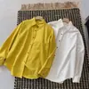 Camisa única de color amarillo brillante con cuello y manga larga para mujer, otoño 2026, estilo coreano, corte holgado, color liso, top casual versátil