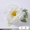 Nueva correa para cortina transfronteriza, decoración de bodas, diseño de casa nueva, clip para cortina de sala de estar y dormitorio, accesorios de instalación gratuitos