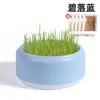 Semillas de hierba para gatos en maceta, hierba para bolas de pelo hidropónica sin tierra, hierba gatera, trigo, autosembra, snacks y suministros para gatitos
