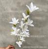 Fotografía de boda con orquídeas de viento y lluvia, paisajismo, flores falsas, flores de boda en fila, High Road, flores artificiales colocadas, outlet de fábrica