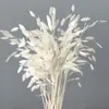 Flores Eternas Erva da Pequena Esperança Flores Secas Flores Verdadeiras Branqueamento Cor acessórios de buquê absorção de cor Erva da Pequena Esperança Fábrica de Yunnan Atacado Flores Eternas