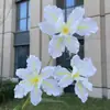3 Flores Artificiais de Íris Monet Casamento Decoração de Casa Lírios Falsos Atacado