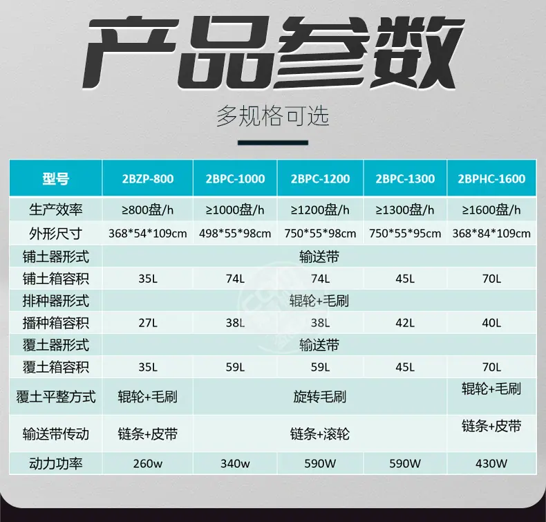 详情 (8).jpg
