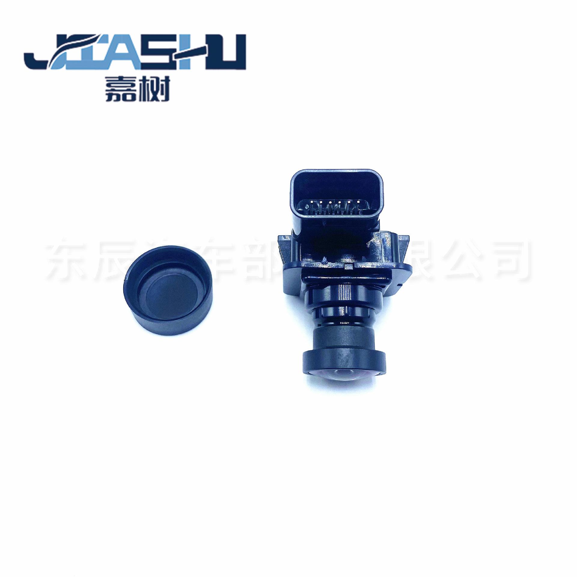 JS-11-009 (4)
