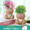 Una Planta Pequeña en Maceta Que Florece al Regarla sobre el Cabello de una Muñeca de Cabello Largo, Adecuada para la Observación del Crecimiento de Plantas en Jardín de Infancia, Fácil de Cuidar y Mantener por Niños