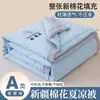Colcha de verano de algodón de Xinjiang, lavable a máquina, colcha de aire acondicionado Clase A, colcha fina de verano, colcha doble de aire acondicionado, colcha individual de regalo