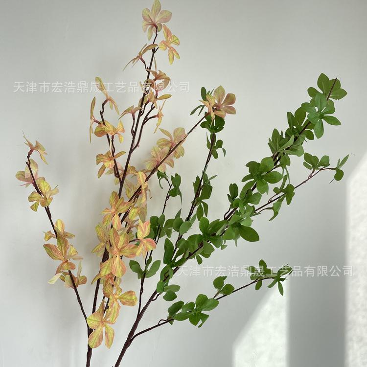 微信图片_202203211531321_副本