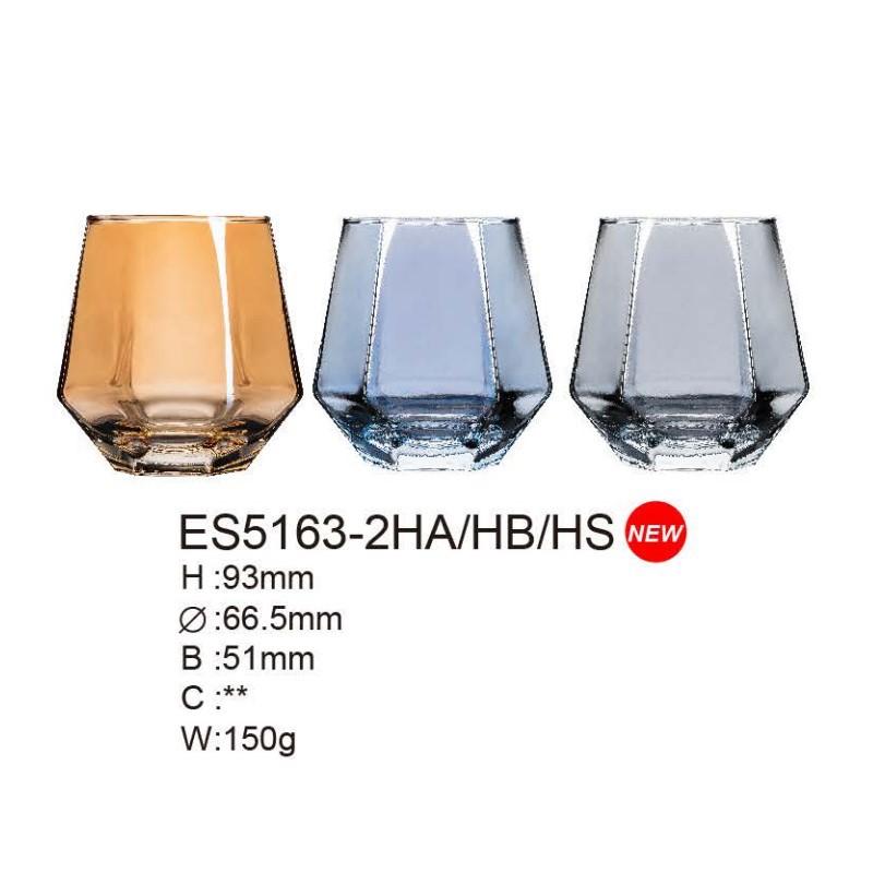 ES5163-2