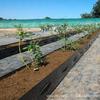 Calha de Cultivo de Substrato de Mirtilo e Framboesa de Novo Material Personalizado Calha de Cultivo Sem Solo Cultivo Sem Solo de Vegetais e Flores