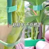 Ataduras Verdes para Plantas Resistentes al Calor, Ataduras de Velcro para Plantas, Correas Adhesivas Verdes para Sujetar Plantas