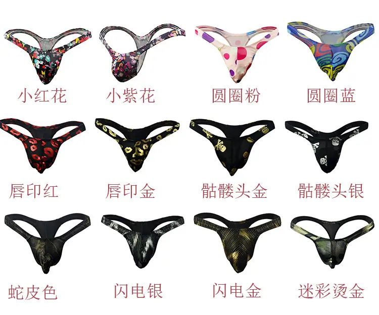 小飞鸟.jpg