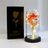 Regalo de San Valentín para Novia Luz Nocturna de Rosa Luz LED Cubierta Acrílica Flor de Pan de Oro Caja de Regalo Regalo de Navidad
