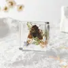 A Fábrica de Artesanato Zhongkun vende espécimes de insetos genuínos como itens decorativos, embutidos em resina de alta transparência, como brinquedos científicos educativos para crianças.