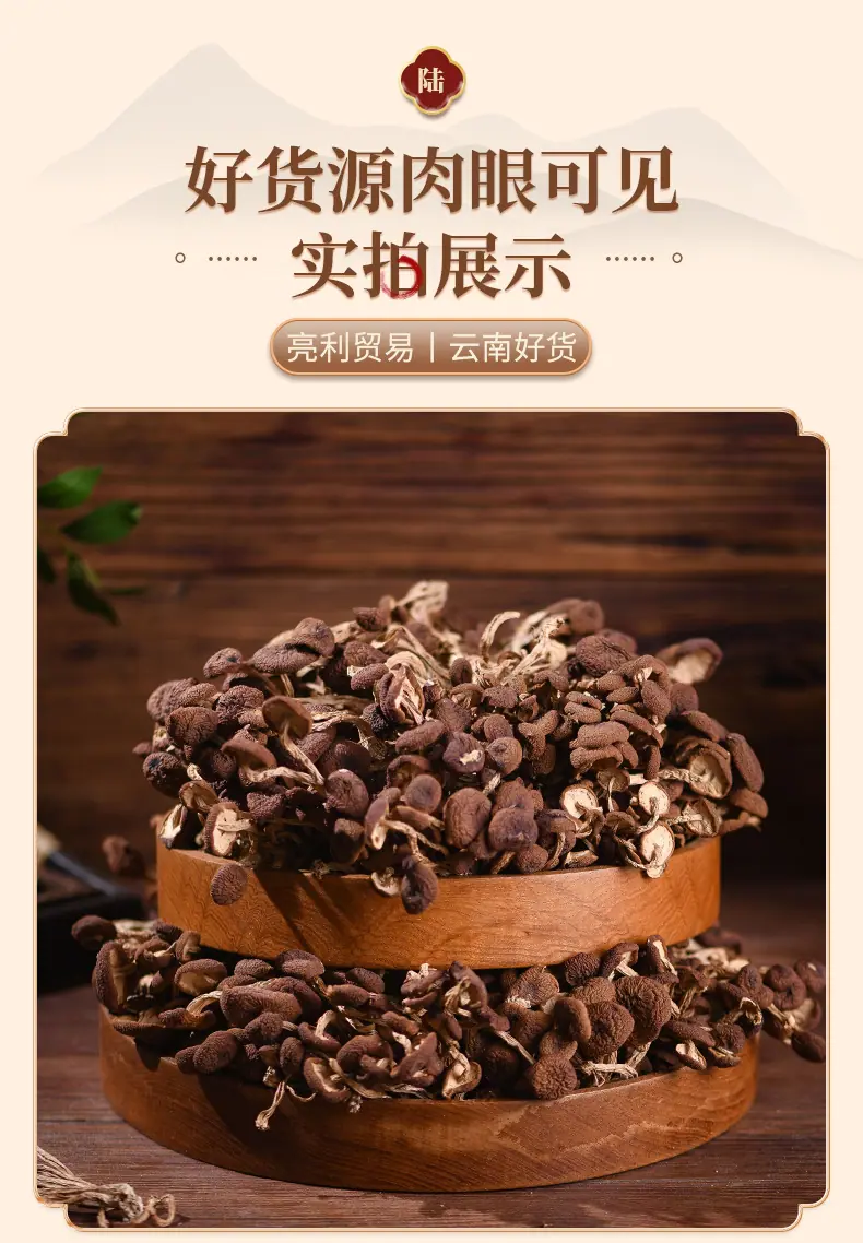 茶树菇_07