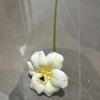 Tulipán de apertura sin hojas de simulación, flor grande sin hojas de silicona PU, solapa, accesorios para fotografía en casa, ramo para sostener por la novia