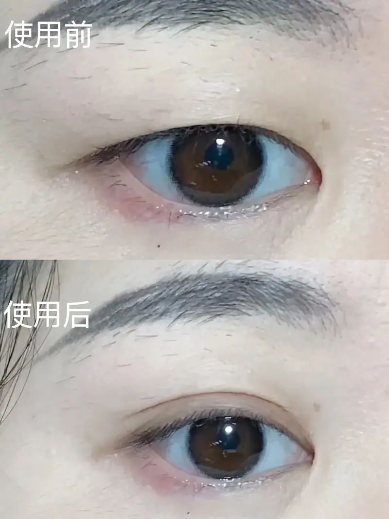QQ图片20241220154147