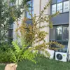 Outono 2026 Plantas Verdes Artificiais Casamento Decoração de Casa Plantas Verdes Falsas Atacado