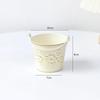 Mini Balde de Ferro Retrô Vaso de Flores, Vaso de Lata para Suculentas de Jardim, Balde Pequeno de Água, Balde de Ferro Decorativo Criativo para Mesa