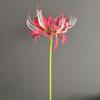 Flor Simulada de Galho Único Manzhu Shahua Orquídea Fengyu Painel com Padrão de Alho Pedra Adereços de Fotografia Flor Artificial Lote