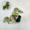 Decoração de planta verde artificial pendurada em vaso com 22 peças para sala de estar e quarto, plantas artificiais de parede, decoração de parede de fundo para fotografia, folhas falsas