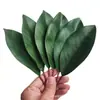 Hojas de Magnolia, Hojas para Arreglos Florales Artificiales, Accesorios de Hojas de Cartón para Tarjetas de Boda Transfronterizas, Flores de Tela con Adhesivo