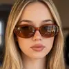 Gafas de Sol Irregulares Estilo Retro Americano INS para Mujer Personalidad de Moda Callejera Gafas de Sol de Moda Estilo Clásico Gafas Versátiles