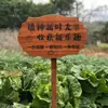 Estaca de Madera Maciza para Huerto Señal de Poste Zona de Plantación Escolar de Verduras Día del Árbol Placa Colgante de Adopción Impermeable Exterior Personalizable