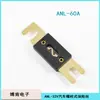 Fusível Tipo Parafuso ANL-32V para Carro Resistente a 30-400A Carcaça de Baquelite de Alta Temperatura Fusível Plano para Carro