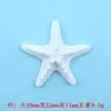 Accesorios Creativos Planos de Estrella de Mar de Resina Pegamento Crema DIY Pasador Accesorios para el Cabello Cuerda para el Cabello Imán para Refrigerador Decoración de Teléfono Móvil