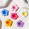 Acessórios de Resina Plumeria Cor Sólida Gradiente Frescos DIY Grampos de Cabelo Cola de Creme Capas de Celular Charms para Sapatos