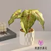 Bonsai de Planta Verde Simulada, Flores Simuladas para Decoração Criativa de Mesa de Interior de Casa, Decorações de Plantas Verdes Artificiais, Plantas em Vasos Simuladas