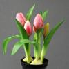 Simulación Tulipán de goma blanda en maceta fotografía casera decoración de boda flor de simulación simulación Tulipán fabricantes de flores falsas