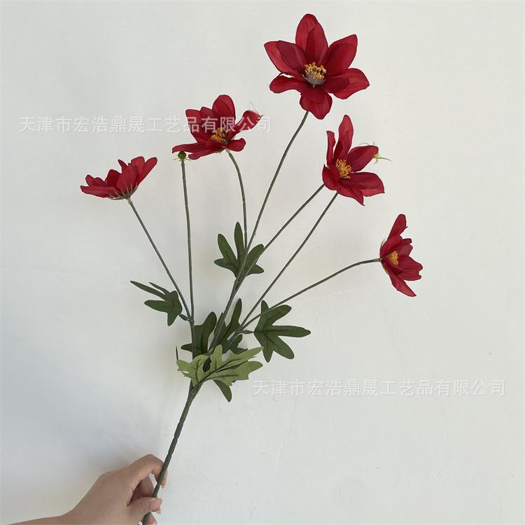 微信图片_202208311711015