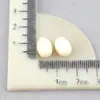 Mini Decoração Artificial DIY Acessórios de Resina de Micro Ovo Enfeites Minúsculos Paisagem de Ovo de Codorna Material de Cola Cremosa