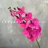 Decoración de Mesa Escandinava de Falenopsis de 9 Cabezas Impresa en 3D Película Floral de Boda Flor Artificial de Falenopsis Accesorios para Fotografía