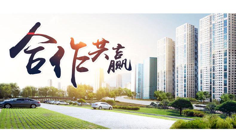 5KBK柔性起重机_20.jpg