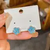 Brincos de Prata Estilo Leve de Luxo com Zircônia Gota d'Água Pétala de Flor de Quatro Folhas Personalizados Nicho Elegantes de Alta Qualidade para Mulheres