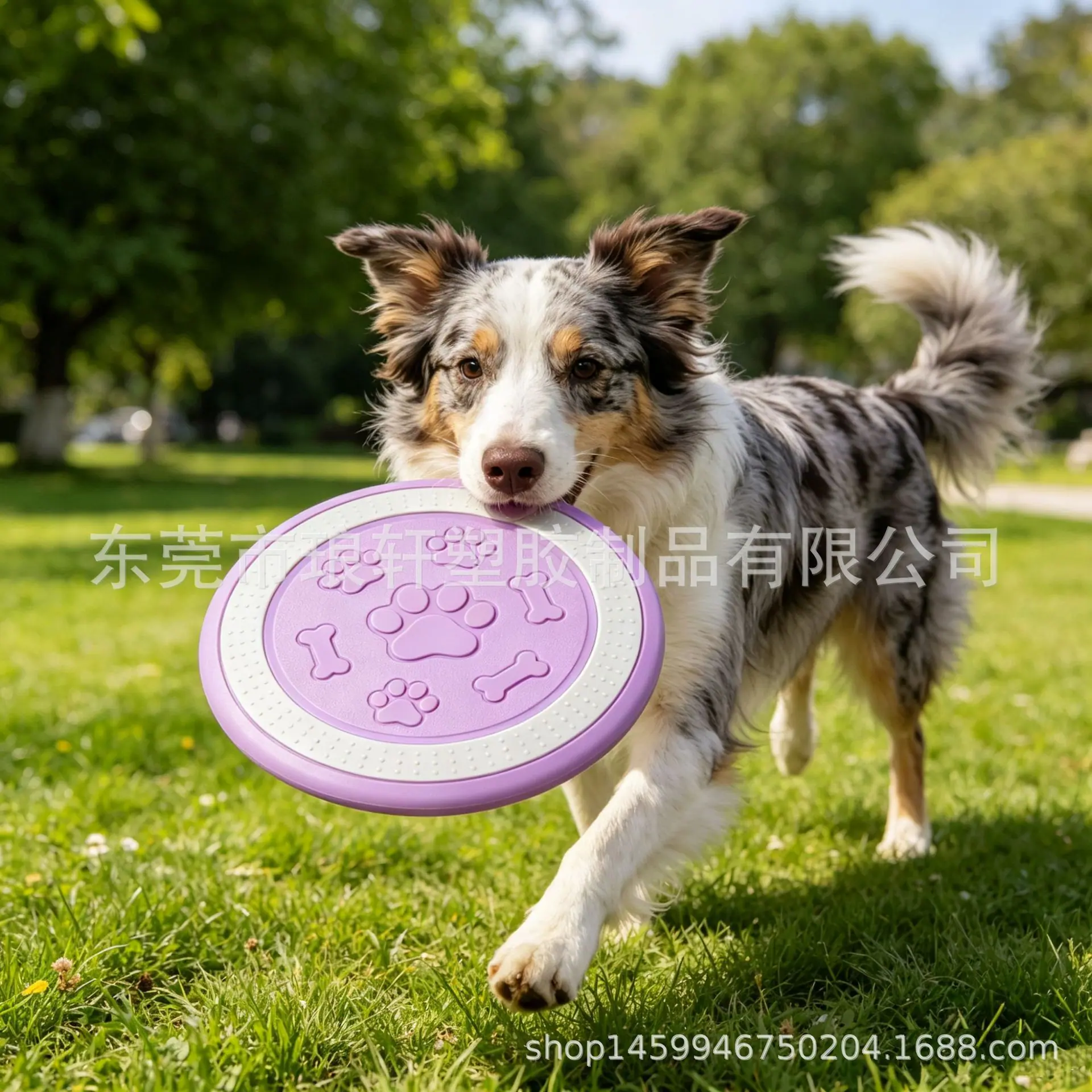 微信图片_20260525195038_1766_152