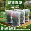 Funda a Prueba de Insectos para Plantas Transfronteriza con Cremallera Cordón Bolsa de Malla, Funda de Red a Prueba de Insectos para Flores y Árboles Frutales, Protección Verde para Plantas