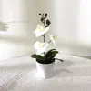 Nuevo Modelo de Orquídea Phalaenopsis Internacional de Tres Flores y Tres Hojas Bonsái Película 3D Flor Artificial Planta en Maceta para Decoración de Interiores