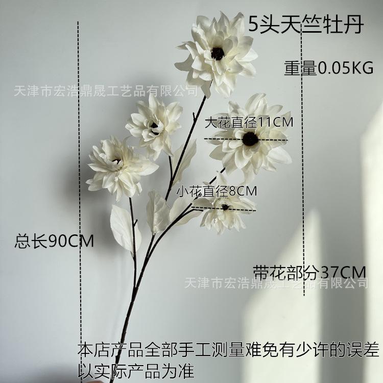 尺寸图