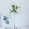 Flores Artificiales al por Mayor, Narcisos y Lirios de Corte Fresco, Flores Reales, Flores Decorativas para Floristerías, Lirios Pequeños
