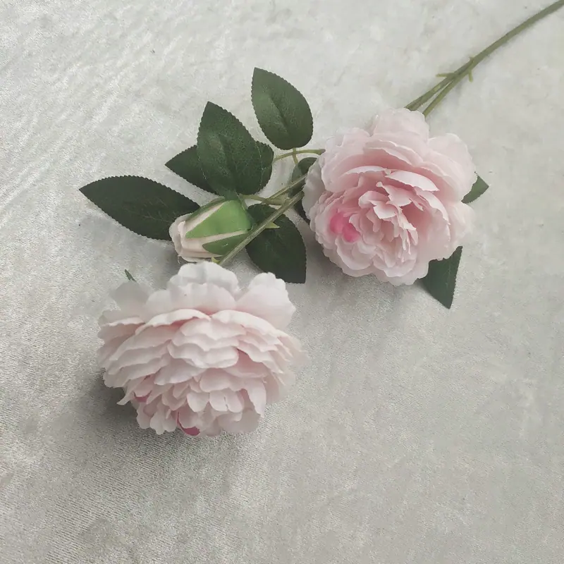 浅粉色