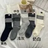 Calcetines de mujer estilo Miu, calcetines de media pantorrilla estilo universitario con parche de letras a la moda estilo coreano, calcetines a rayas apilados nuevos de otoño para Instagram