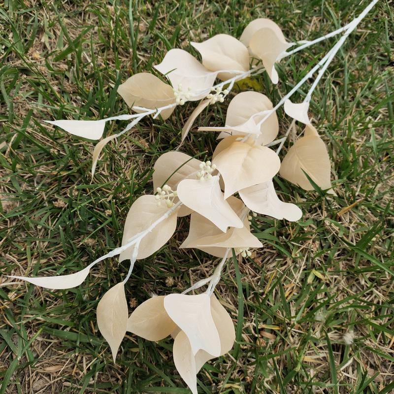 菩提叶2号香槟色