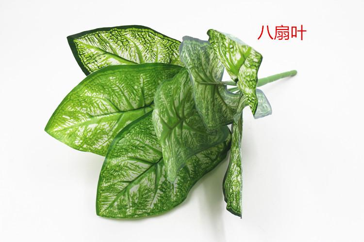 IMG_8730_副本.jpg