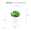 Em estoque simulação suculentas tesouro lótus vasos enfeites de mesa presente mini bonsai verde TEMU simulação planta